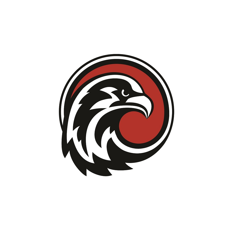 Company Logo For Falcon WD Windows And Doors'