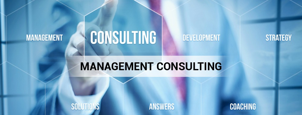 Management Consulting Services'