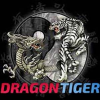 Company Logo For Dragon Tiger'