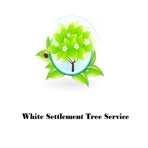Company Logo For White Settlement Tree Service'