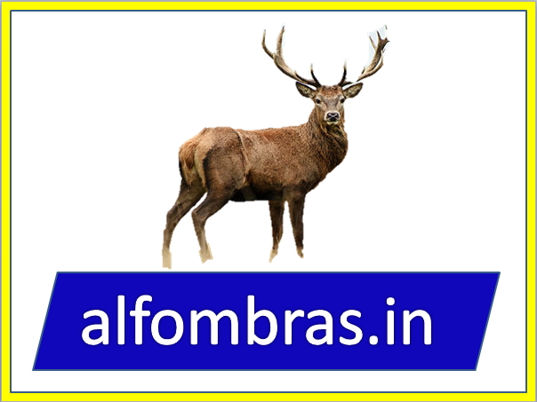 Company Logo For ALFOMBRAS'