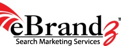 eBrandz Inc Logo