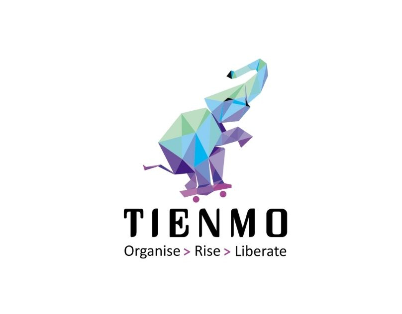 Tienmo Consulting LLP Logo
