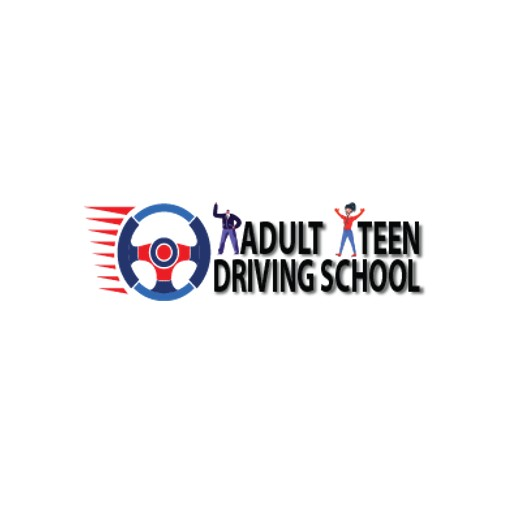 Company Logo For Adult Teen Driving School'