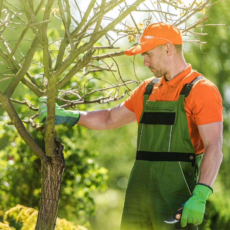 Company Logo For OSLO TRESERVICE'