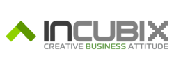 Company Logo For Goincubix'