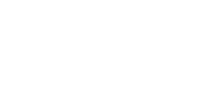 Company Logo For TVS Next Ltd'