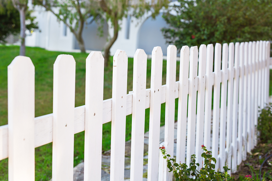 Vinyl Fence'