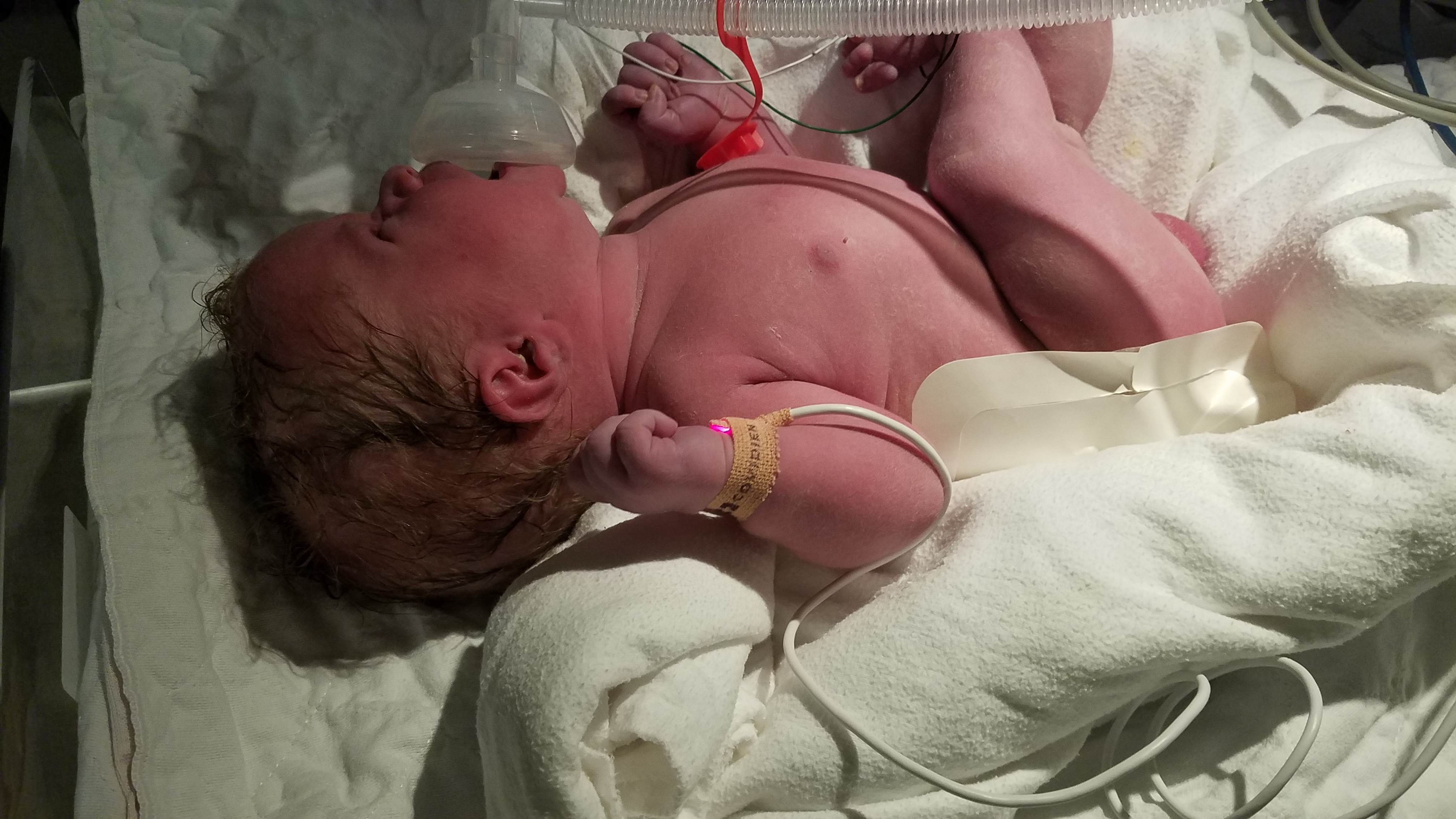 Intermountain Primary NICU 2.jpg