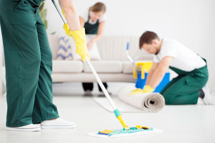 Company Logo For Carpet Cleaning Frankston'