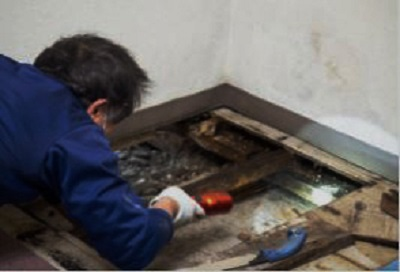 Company Logo For ALL US Mold Removal &amp; Remediation C'