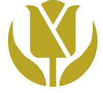 Golden Tulip China Logo