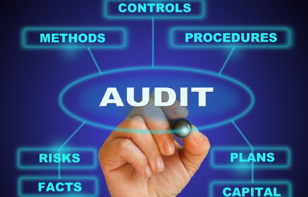 Process Audit Services