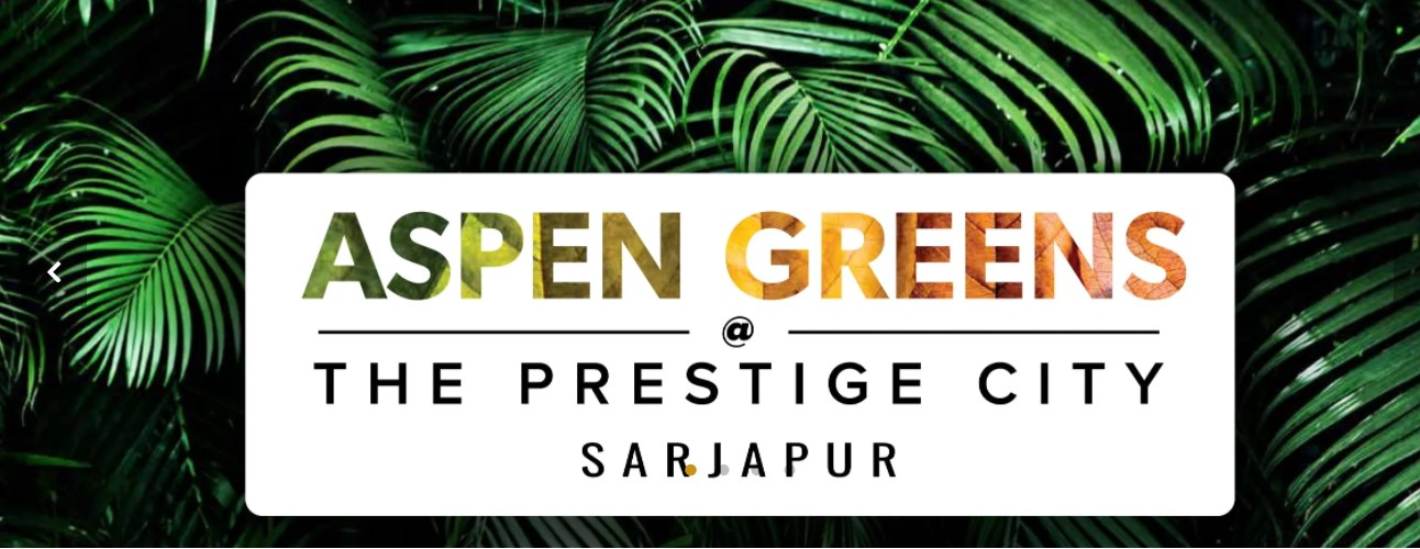 Company Logo For Prestige Aspen Greens'