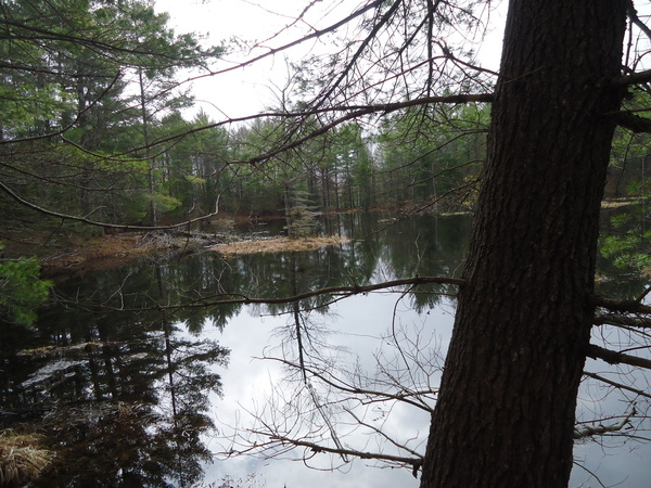 Adventure Theme Park'