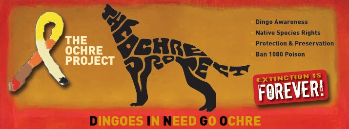 JENNIFER BRITTON PARKHURST