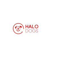 Halo Dogs Logo