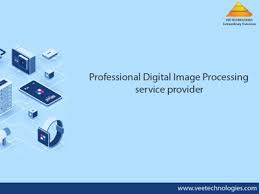 Image processing in Vee Technologies'