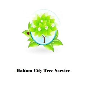 Company Logo For Haltom City Tree Service'