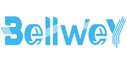 Company Logo For Bellwey Digital Marketing Services'