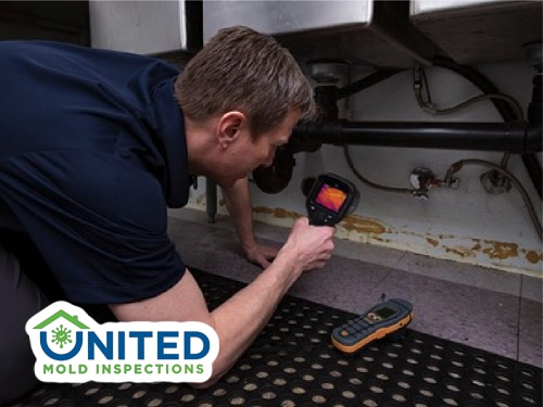 Company Logo For United Mold Inspections'