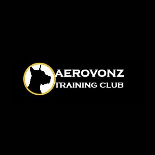 Company Logo For Aerovonz Training Club'