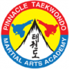 Company Logo For PINNACLE MARTIAL ARTS'