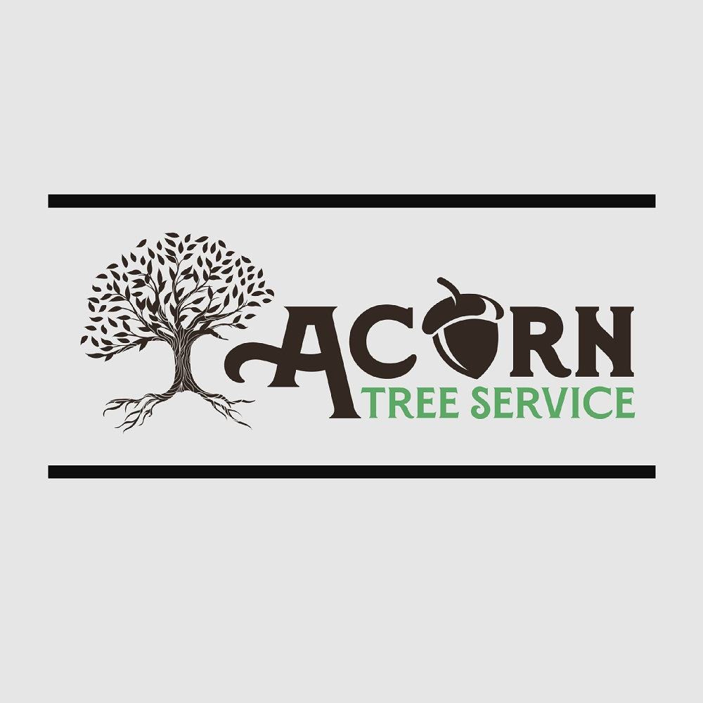Company Logo For Acorn Tree Service'