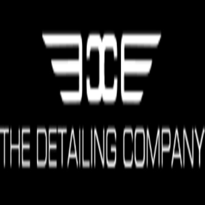 Company Logo For The Detailing Company'