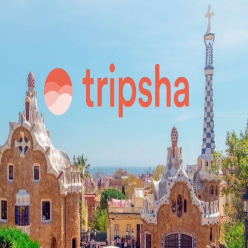Company Logo For Tripsha'