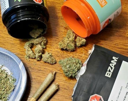 Company Logo For Green Gaia Cannabis Co.'