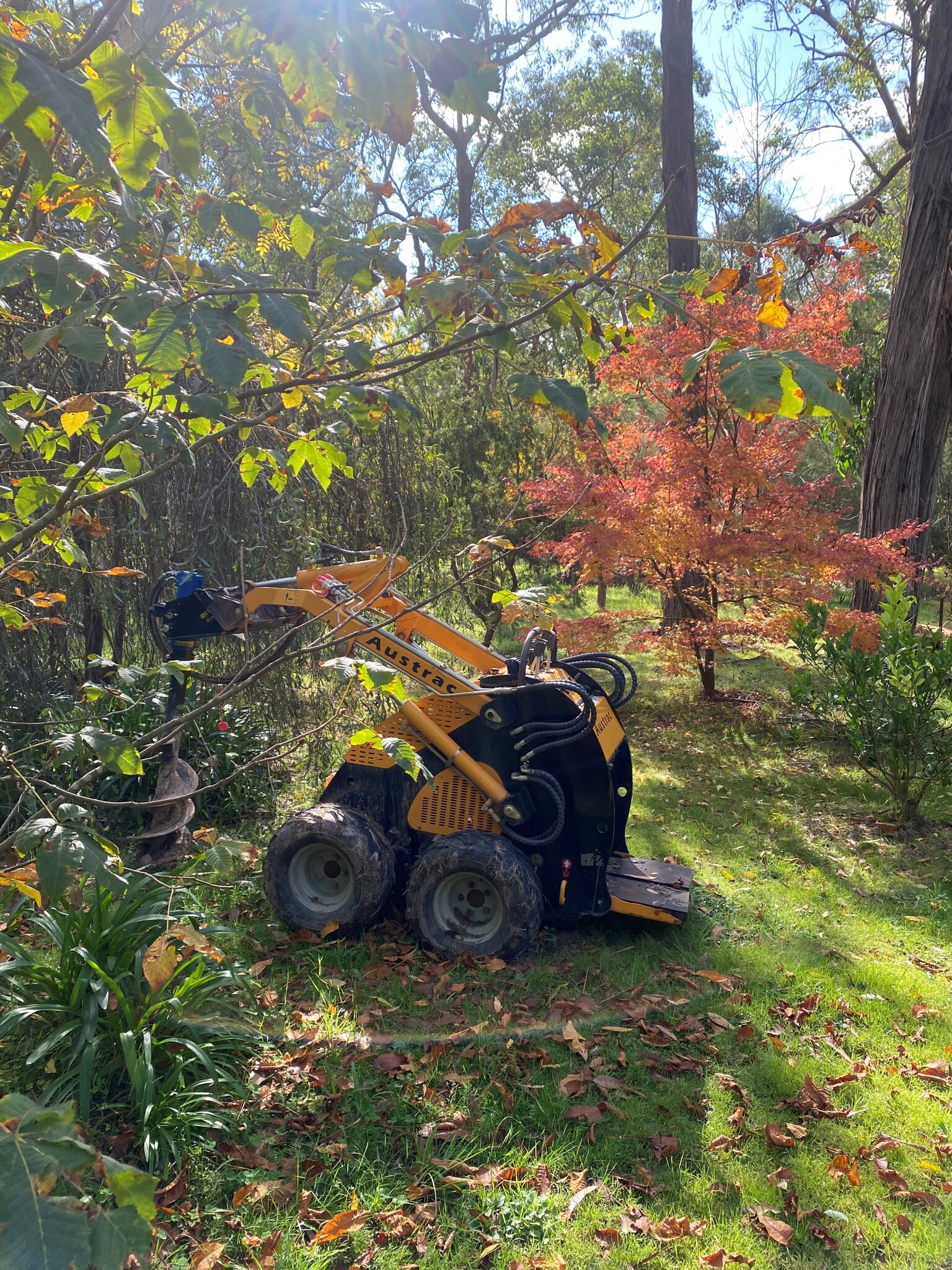 Blocked Drain Box Hill'