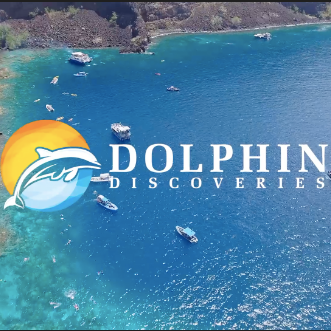 Company Logo For Dolphin Discoveries'