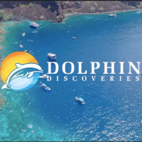 Dolphin Discoveries Logo