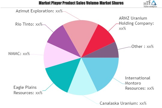 Nuclear Fuels Market'