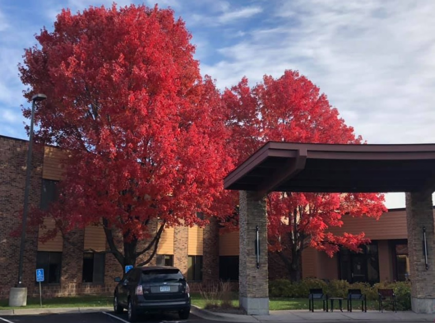 Martin Luther Campus