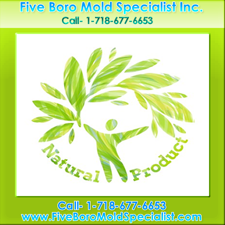 NYC mold inspection company'