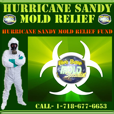 NYC mold removal for Hurricane Sandy'