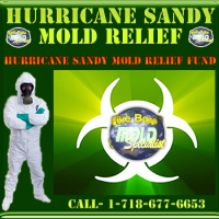 NYC mold removal for Hurricane Sandy