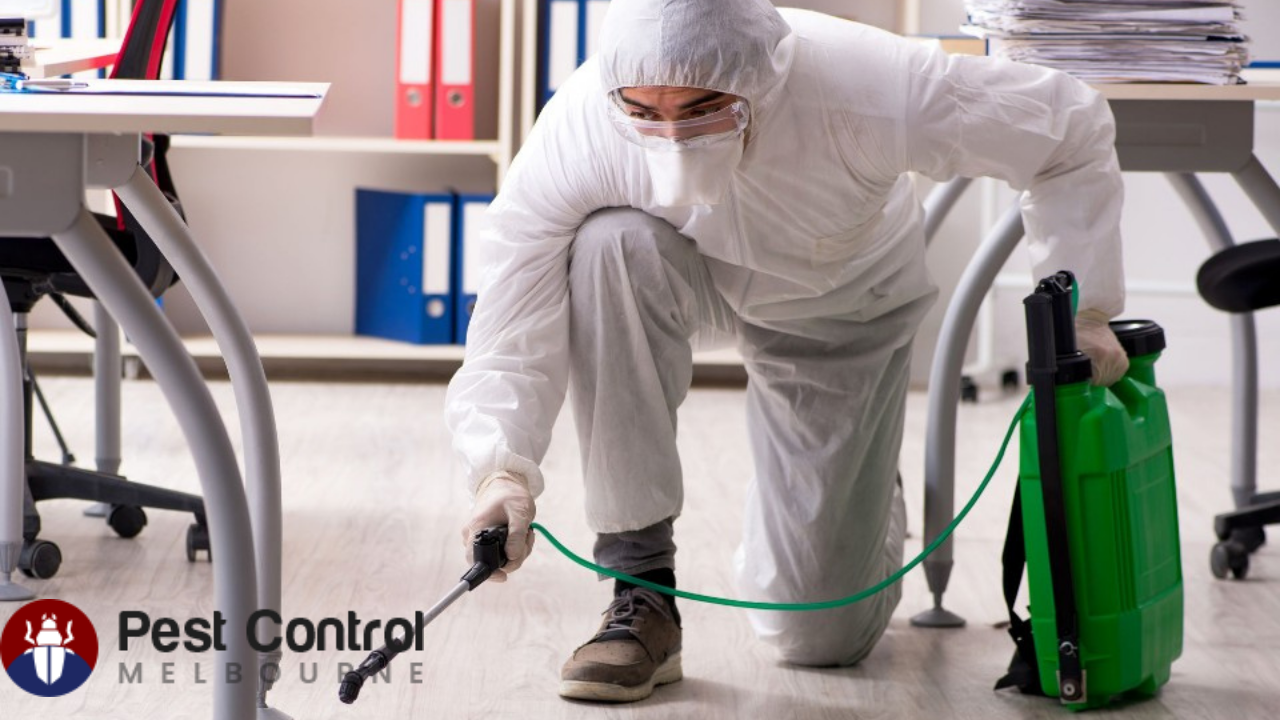 Company Logo For Pest Control Melbourne'