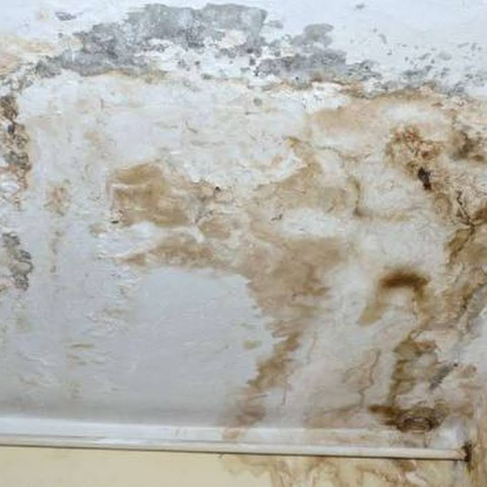 Company Logo For Modesto Mold Removal &amp; Remediation'