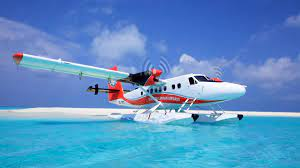 Seaplanes Market'