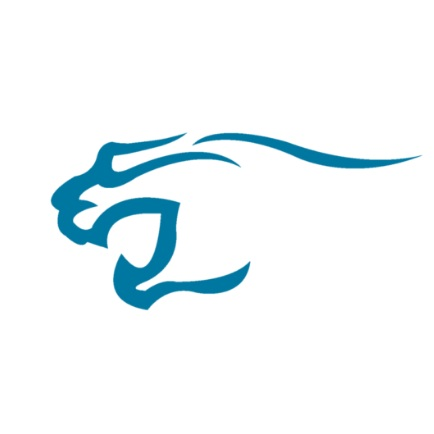 Company Logo For The Puma Marketing'