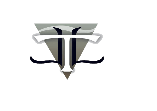 Company Logo For Trevino Law, Inc.'