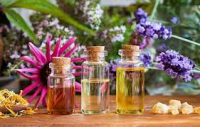 Organic Personal Care and Cosmetics Products Market