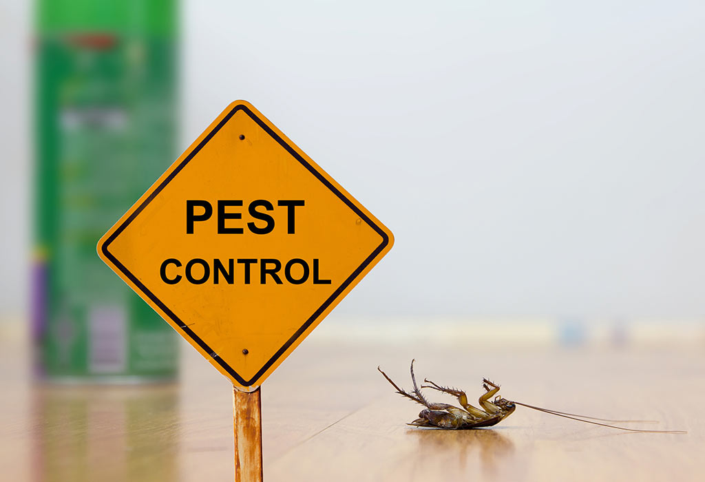 Company Logo For Pest Control Dandenong'