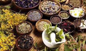 Herbal Medicine Market