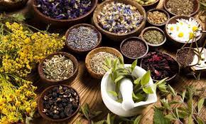 Herbal Medicine Market'