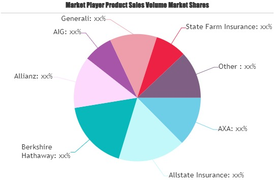 Multi Car Insurance Market'
