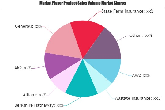 Temporary Car Insurance Market'
